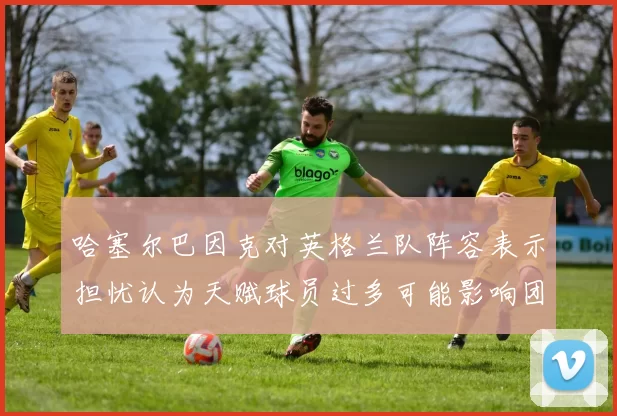 哈塞尔巴因克对英格兰队阵容表示担忧认为天赋球员过多可能影响团队合作